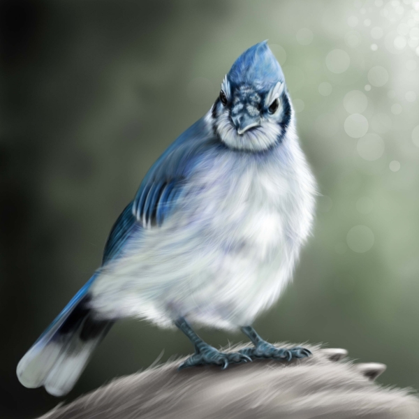 Creation of Little blue bird: Step 13